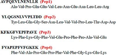 Characterization of four peptides from milk fermented with kombucha cultures and their metal complexes—in search of new biotherapeutics